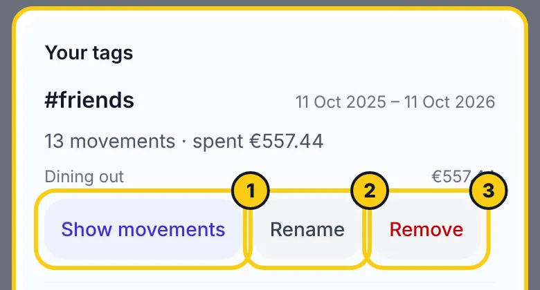 Die Zusammenfassung eines Tags mit Buchungen anzeigen, Umbenennen und Entfernen
